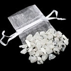 Chip Bag (20g)