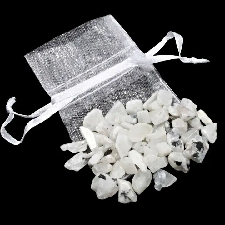 Chip Bag (20g)