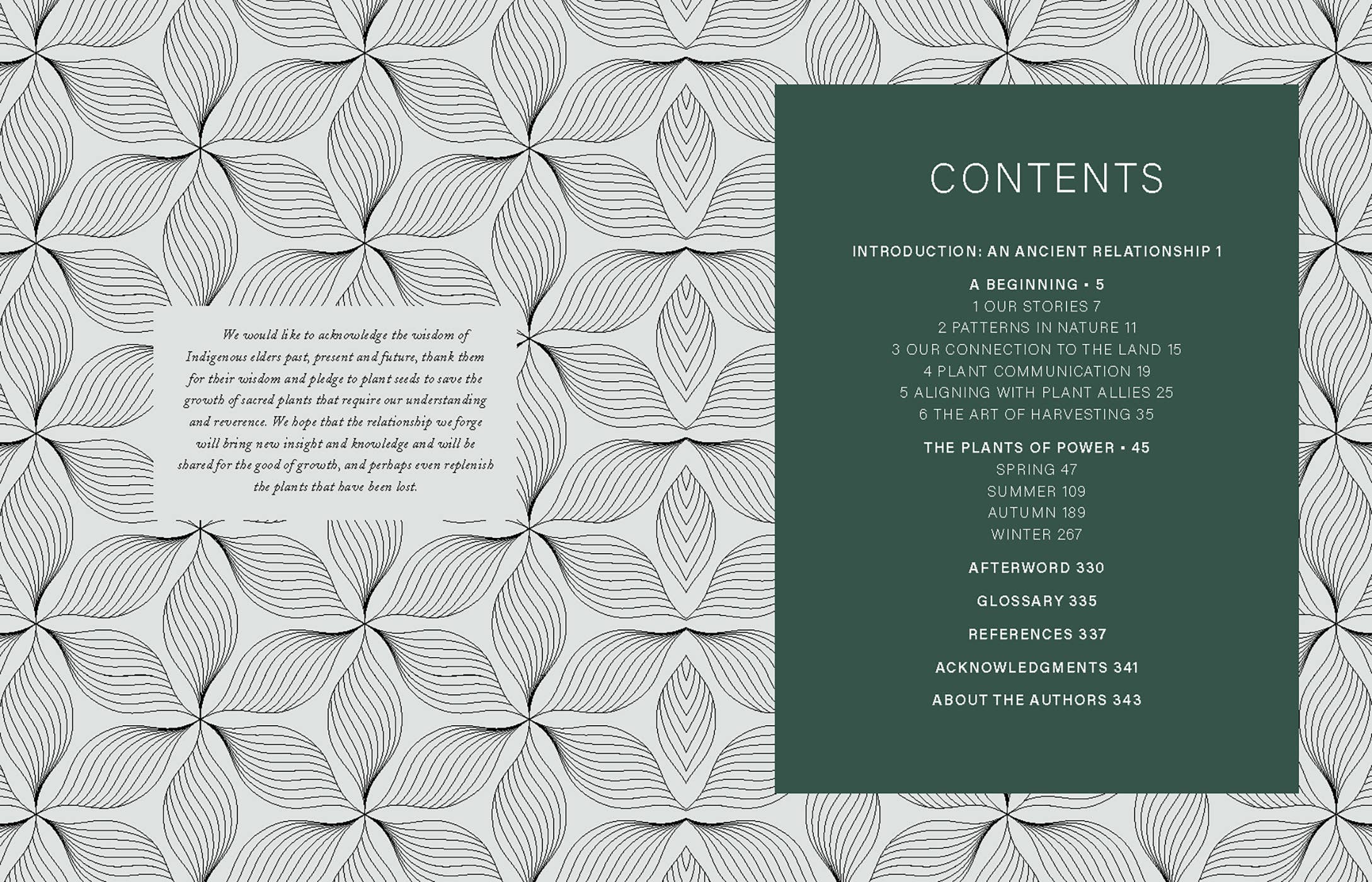 Plants of Power by Stacey Demarco & Miranda Mueller