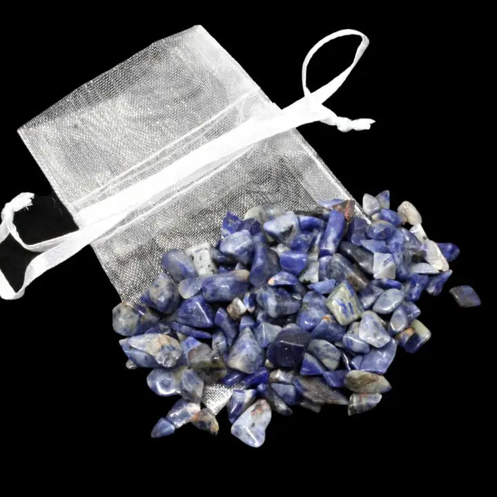 Chip Bag (20g)