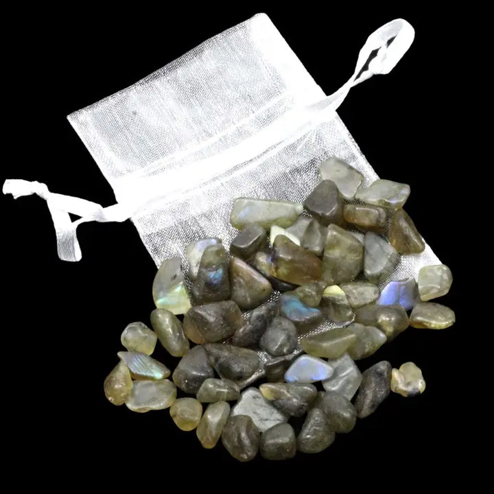 Chip Bag (20g)