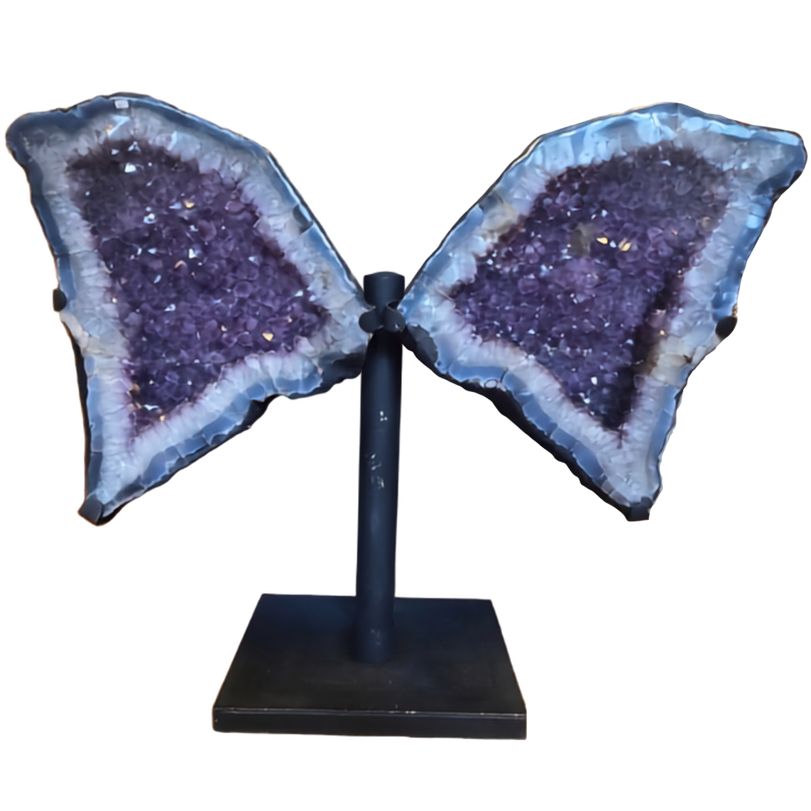 Amethyst Wings 84kg
