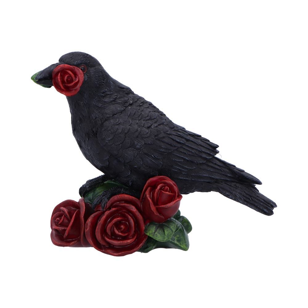 Rose of the Raven