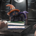 Duo Divination Cat Figurine